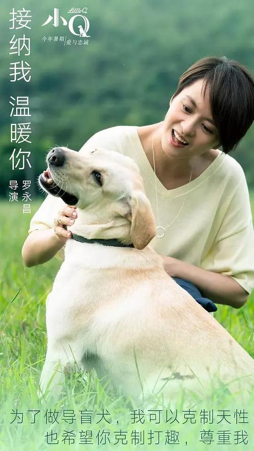 黑斯廷斯学院成绩单办理